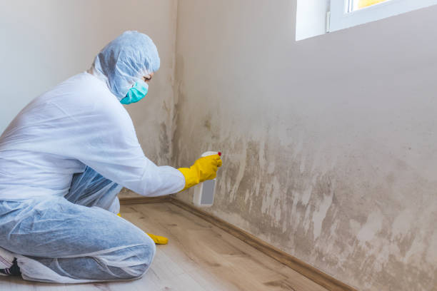 Crawl Space Mold Remediation treatment of floor joists in Franklin